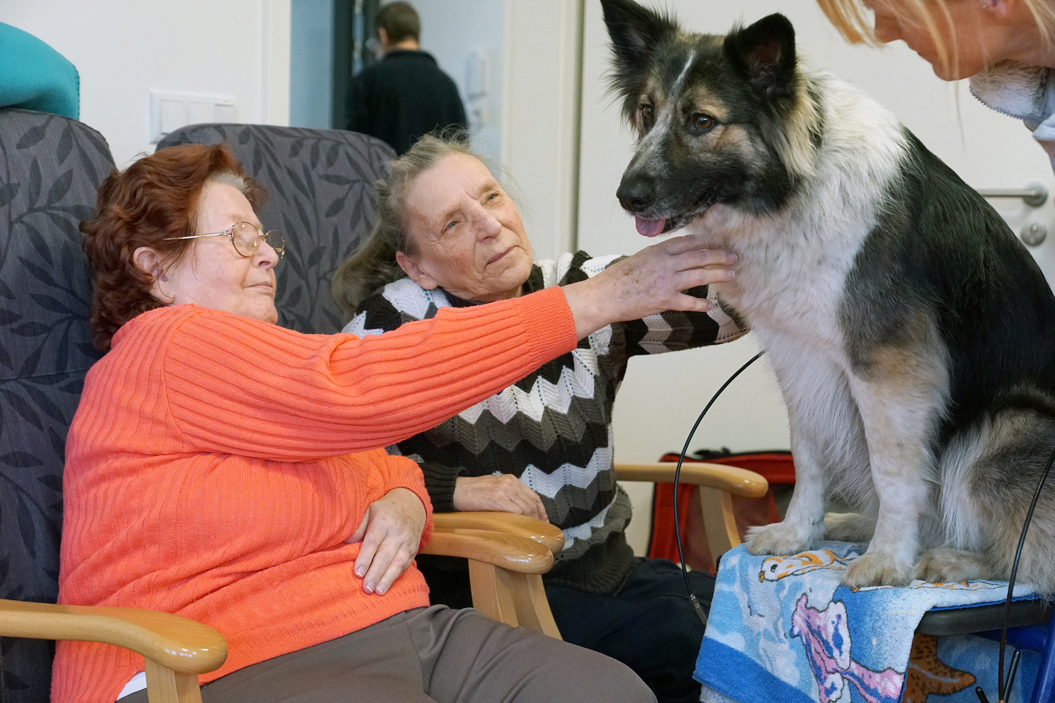 Samariterin mit kalter Schnauze!